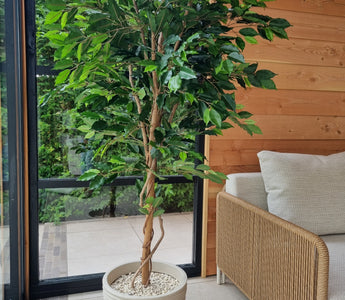 Stijlvol groen in je tuinkamer met Kunstplant Ficus Groen 180.