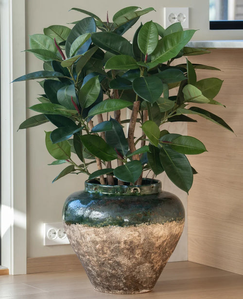 De Kunstplant Rubber deluxe 90 cm heeft brede, glanzend groene bladeren en wordt geleverd in een grote rustieke pot van keramiek - ideaal voor iedereen die houdt van het uiterlijk van rubberplanten zonder de noodzaak van onderhoud.