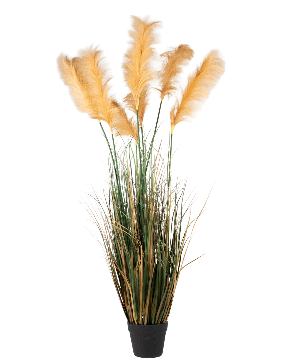 Een Kunst Pampasgras van 200 cm, een brandvertragende plant met lange, groene bladeren en hoge, vederachtige, lichtgouden pluimen, afgebeeld tegen een effen witte achtergrond.