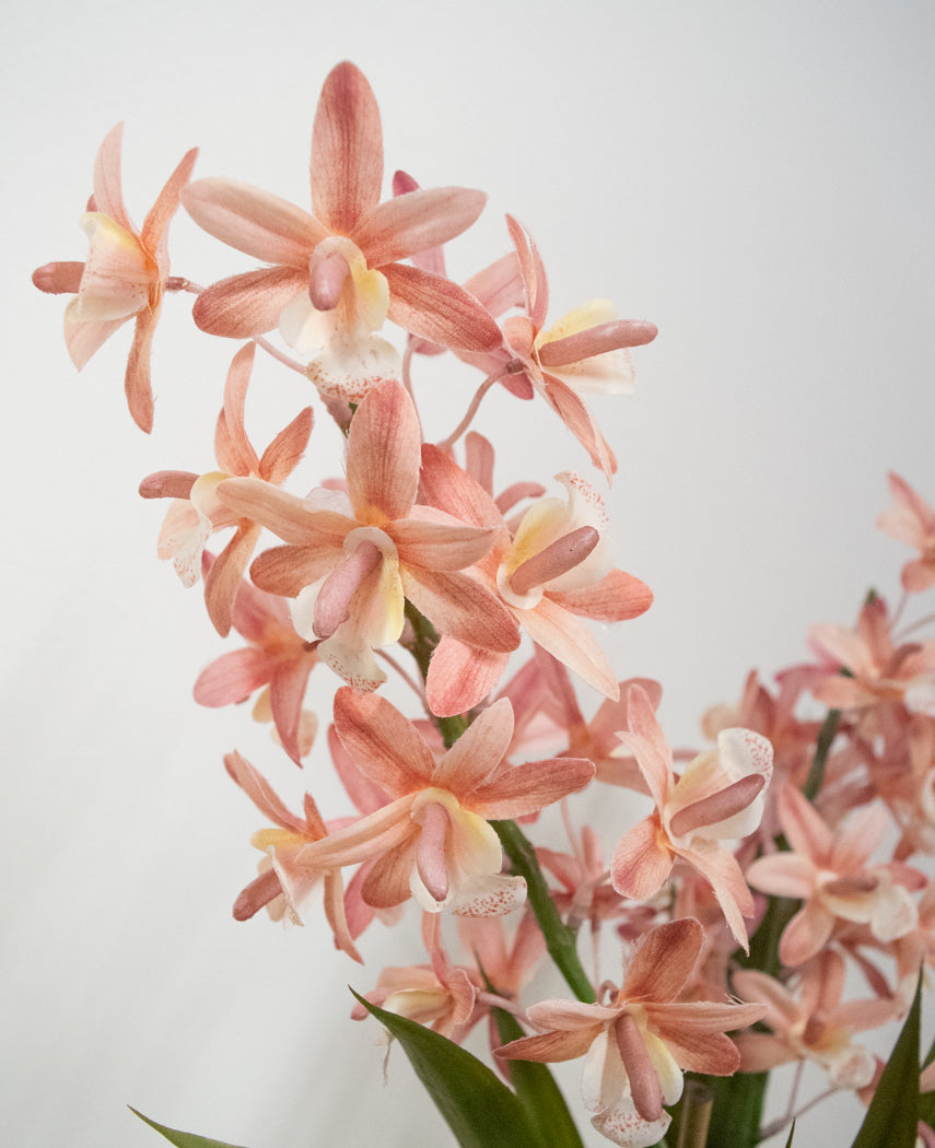 Plante artificielle Cymbidium 58 cm rose