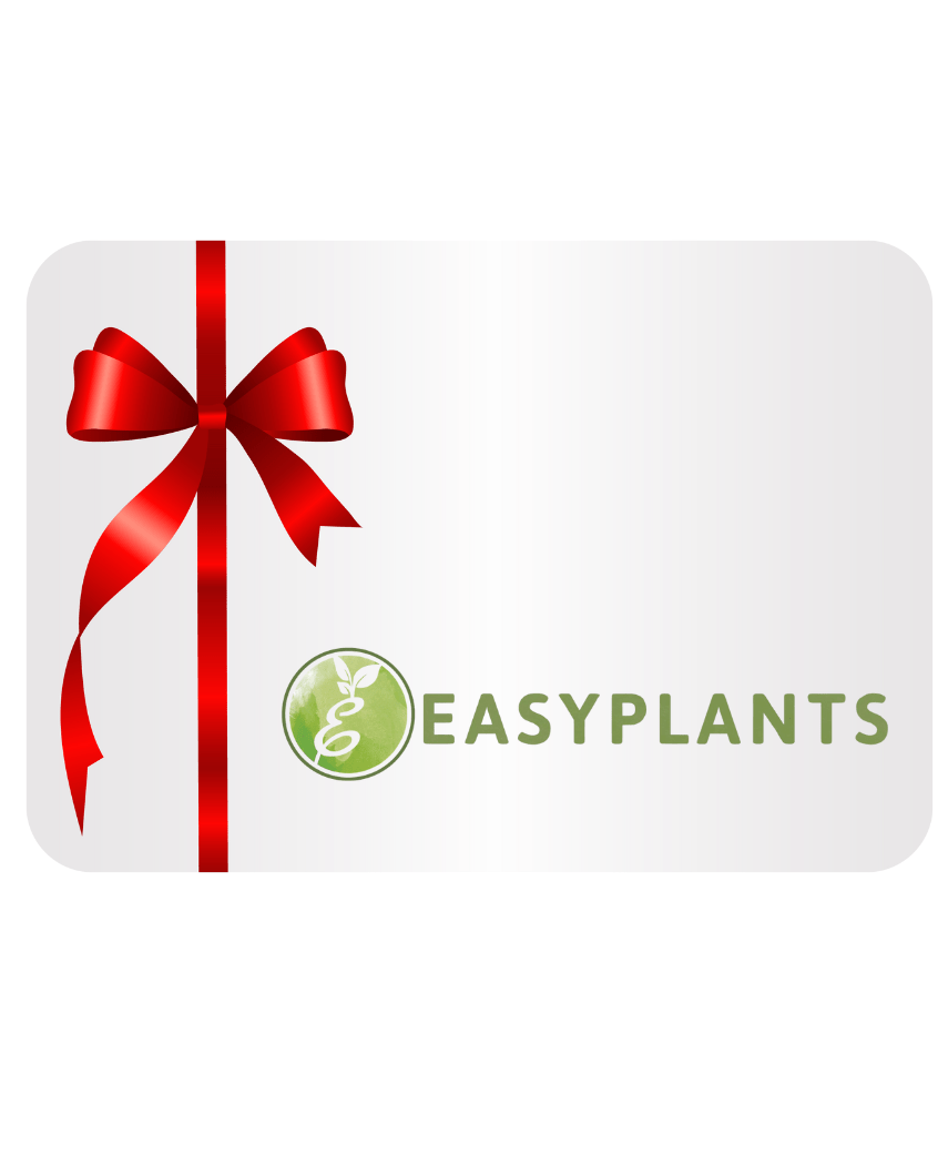 Een rechthoekige Digitale Cadeaubon kaart met een rood lint en strik aan de linkerkant, met een groen cirkelvormig plantenlogo en de tekst EASYPLANTS in groen op een witte achtergrond.