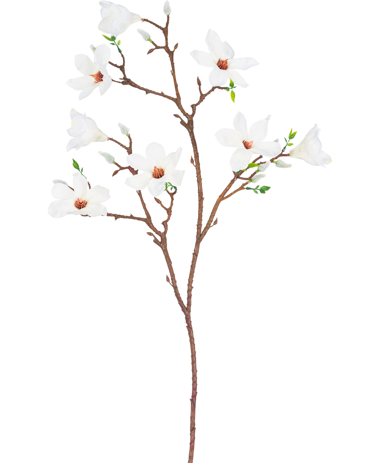 De Kunsttak Magnolia kleinbloemig 89 cm wit heeft een enkele bruine tak met verschillende uitlopers, met meerdere open witte bloemen met een lichtroze hart en kleine groene bladeren, tegen een effen witte achtergrond.