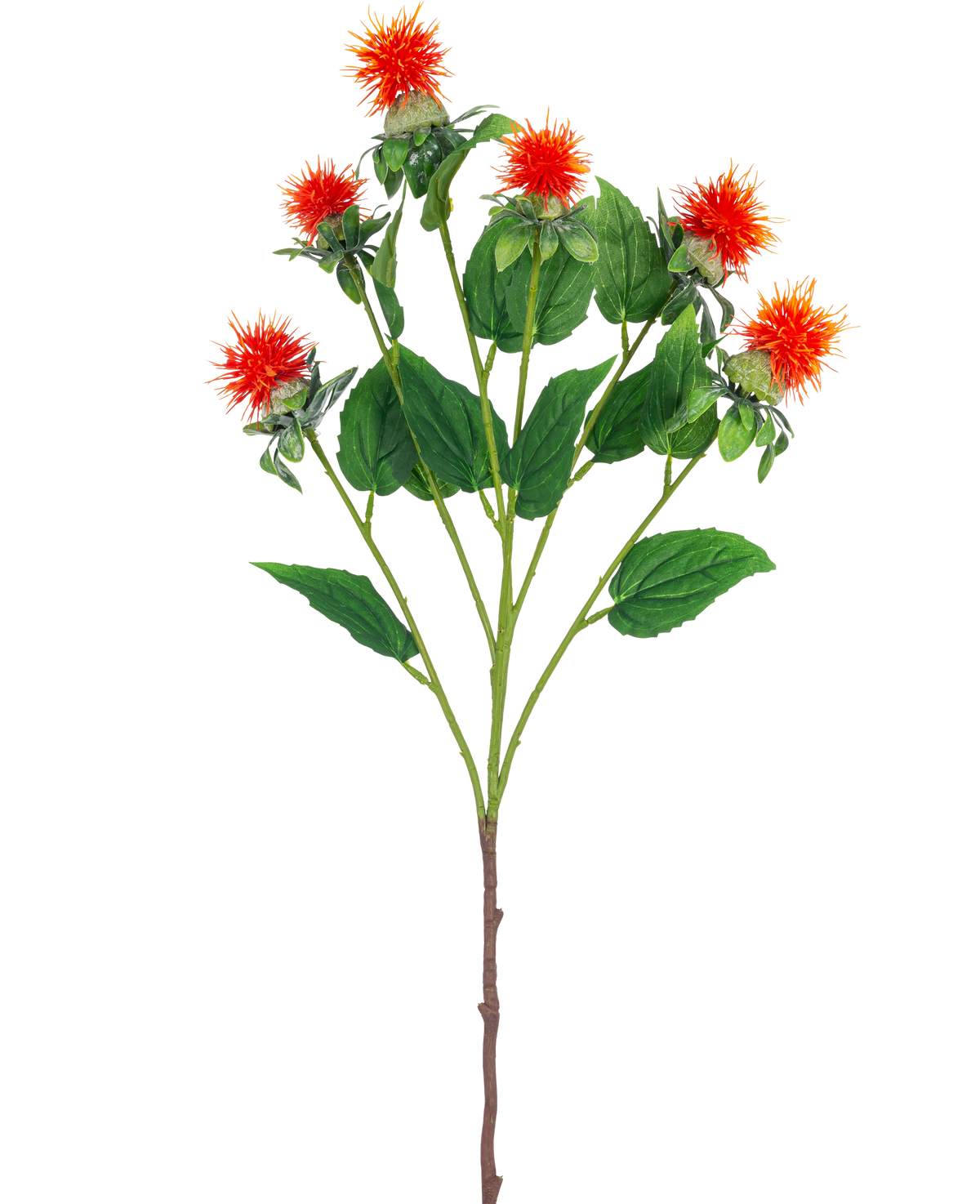 De Kunstbloem Saffloer 79 cm oranje heeft een enkele steel met meerdere takken, elk met piekerige oranjerode en gele bloemen met groene bladeren, tegen een witte achtergrond.
