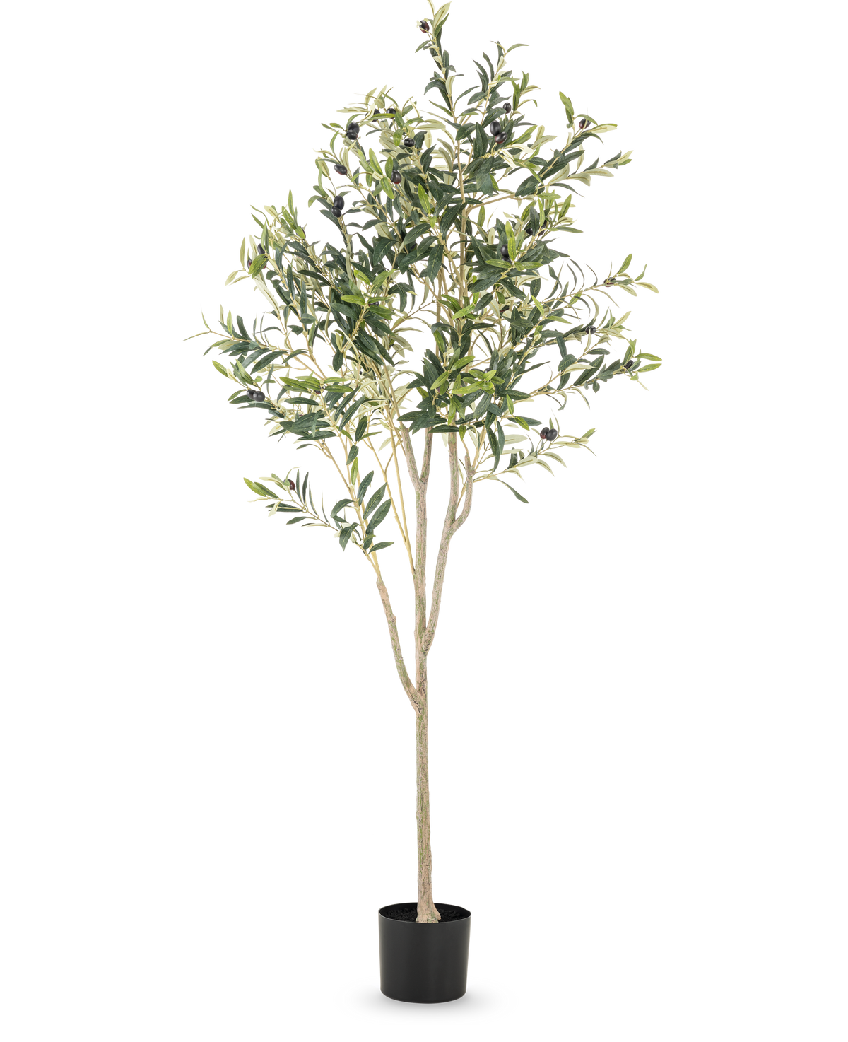 De Kunst Olijfboom 180 cm heeft meerdere slanke takken en groene bladeren in een eenvoudige zwarte pot, tegen een effen witte achtergrond - een elegant decoratief accent voor elke ruimte.