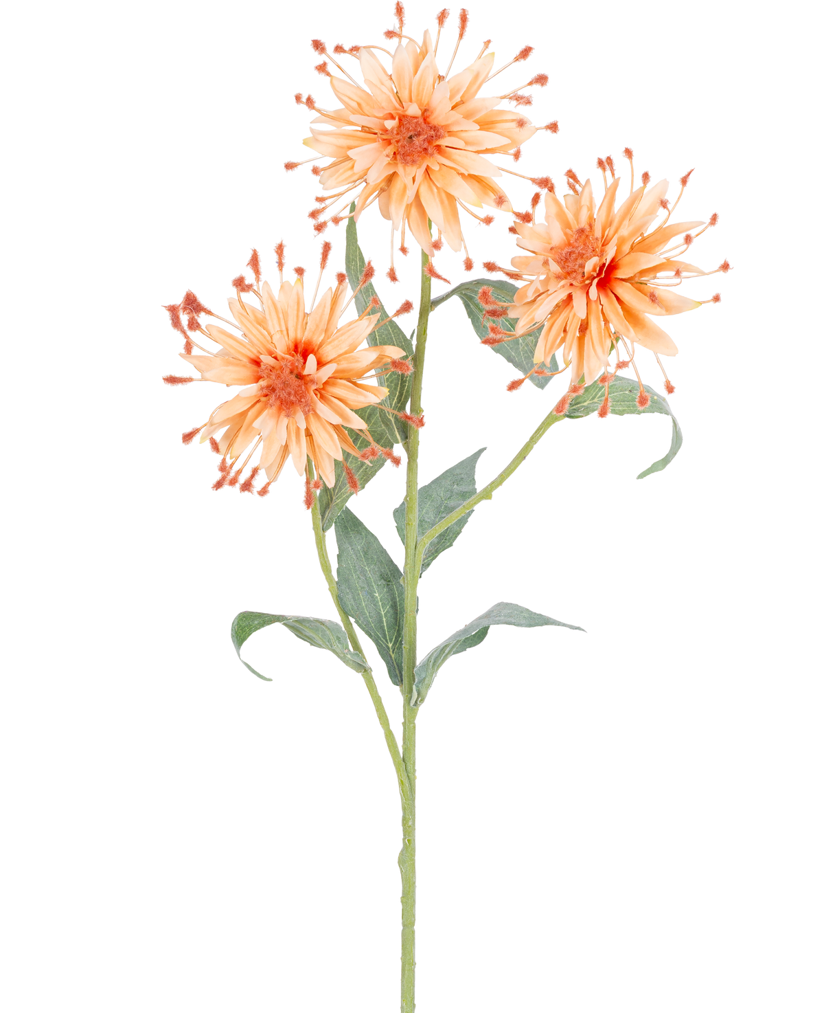 Een Kunstbloem Scabiosa Japonica 70 cm perzik steel met drie oranje kunstbloemen, stekelige bloemblaadjes en groene bladeren, afgebeeld tegen een witte achtergrond.