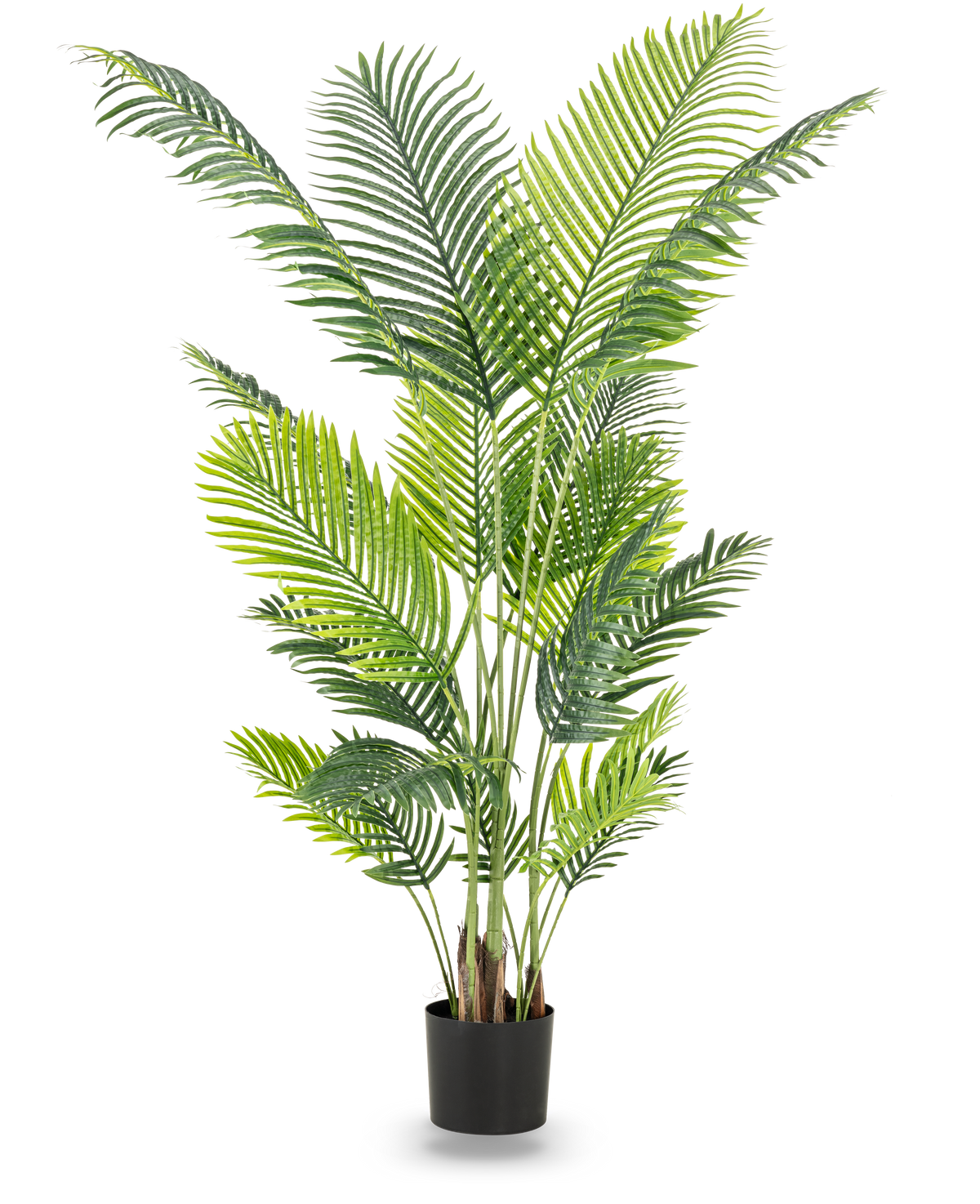 De Kunstplant Phoenix 180 cm is een hoge kunstplant met weelderige groene bladeren in een zwarte pot die een tropische sfeer toevoegt aan elke ruimte. Afgebeeld tegen een effen witte achtergrond.