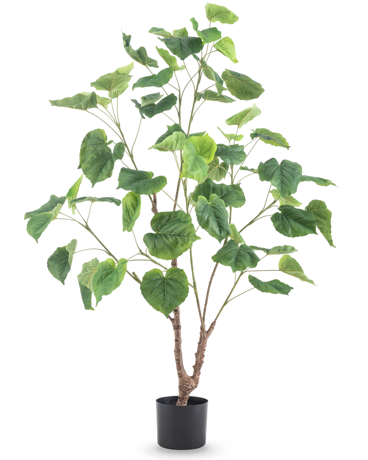 De Kunstplant Ficus 120 cm is een hoge kunstplant met meerdere slanke takken en grote, hartvormige groene bladeren, in een eenvoudige zwarte pot tegen een witte achtergrond.