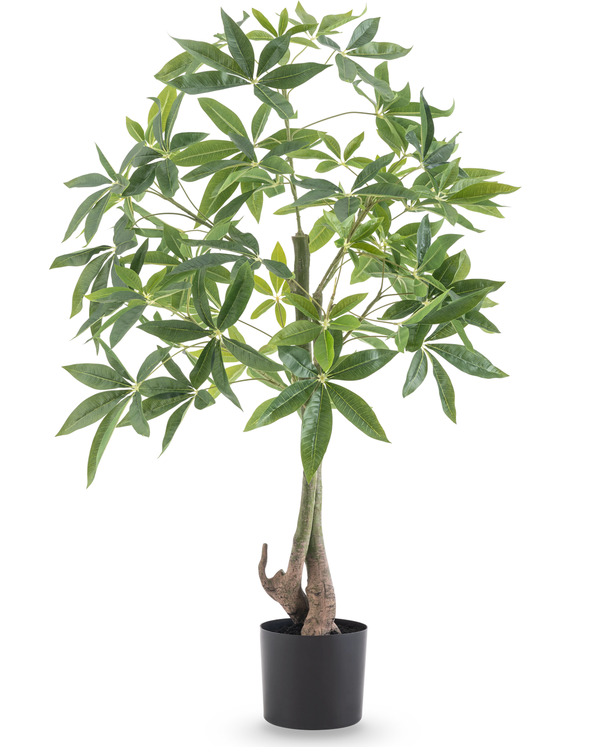 De Kunstplant Pachira 120 cm heeft een gevlochten stam en weelderige groene bladeren in een zwarte pot, tegen een effen witte achtergrond.