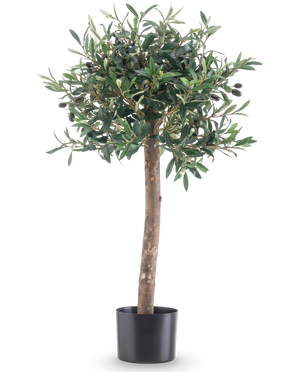 De Kunst olijfboom UV 85 cm heeft een rechte stam, dichte groene bladeren en kleine zwarte olijven. Deze onderhoudsvriendelijke kunstplant in zwarte pot blijft altijd mooi en is perfect voor binnen of buiten dankzij de UV-bestendigheid.