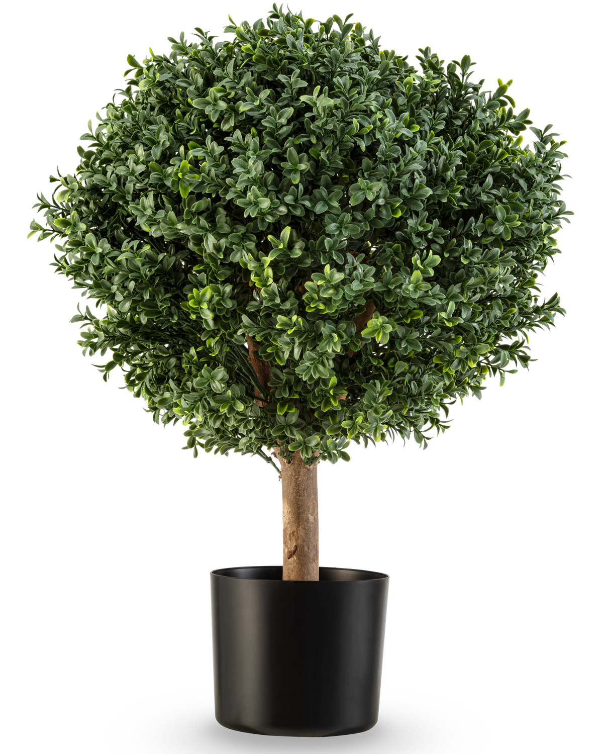 De Kunstplant Buxus op stam Romeinse stijl UV 65cm heeft een ronde, weelderig groene vorm met dicht gebladerte in een eenvoudige zwarte pot, perfect om elegantie toe te voegen tegen een witte achtergrond.