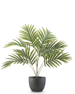 De Kunstpalm Phoenix 50 cm heeft lange groene gebogen bladeren in een ronde zwarte decoratieve pot, tegen een effen witte achtergrond.