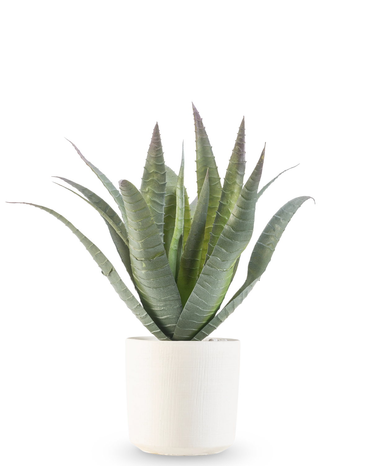 De Kunst Agave 30 cm in sierpot heeft een groene vetplant met lange, puntige bladeren die omhoog groeien, gepresenteerd in een eenvoudige pot met witte textuur tegen een effen witte achtergrond.