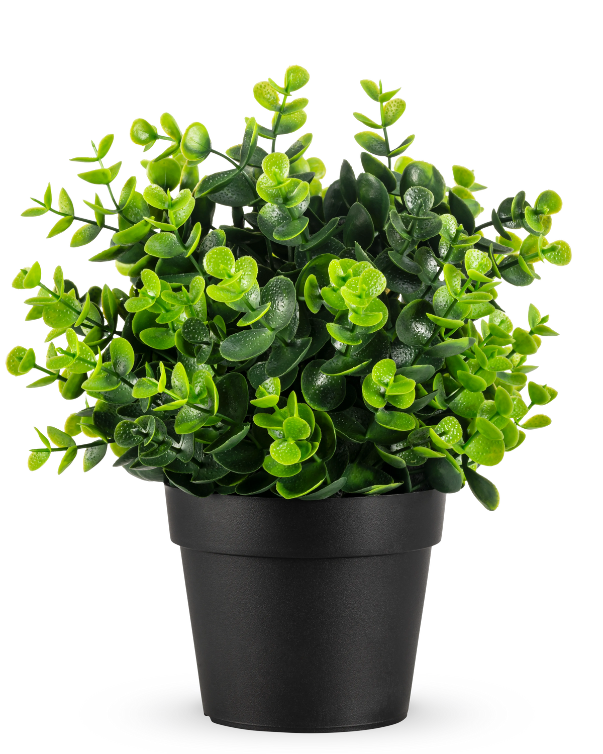 De Kunstplant Groen in pot UV 22 cm is een kleine, levendige groene kunstplant met dichte, ronde bladeren in een eenvoudige zwarte pot, afgebeeld tegen een effen witte achtergrond.