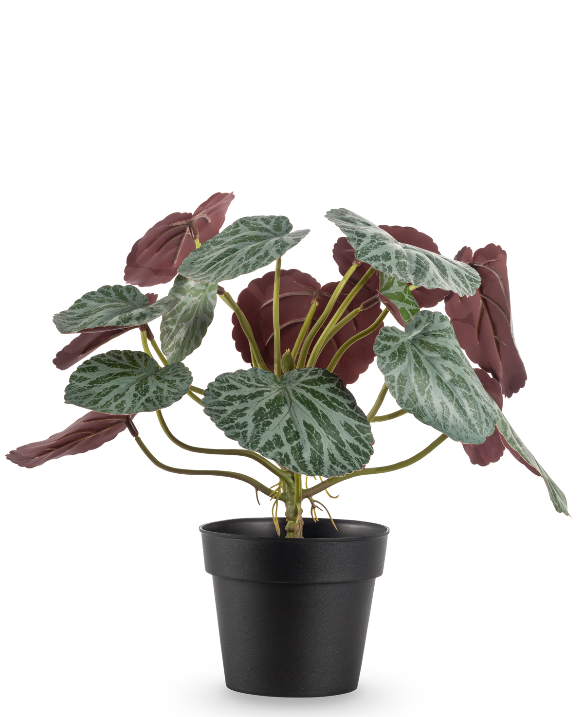 De Kunstplant Saxifraga 27 cm heeft groene bladeren met witte nerven en roodpaarse onderkanten, gepresenteerd in een eenvoudige zwarte pot tegen een effen witte achtergrond.