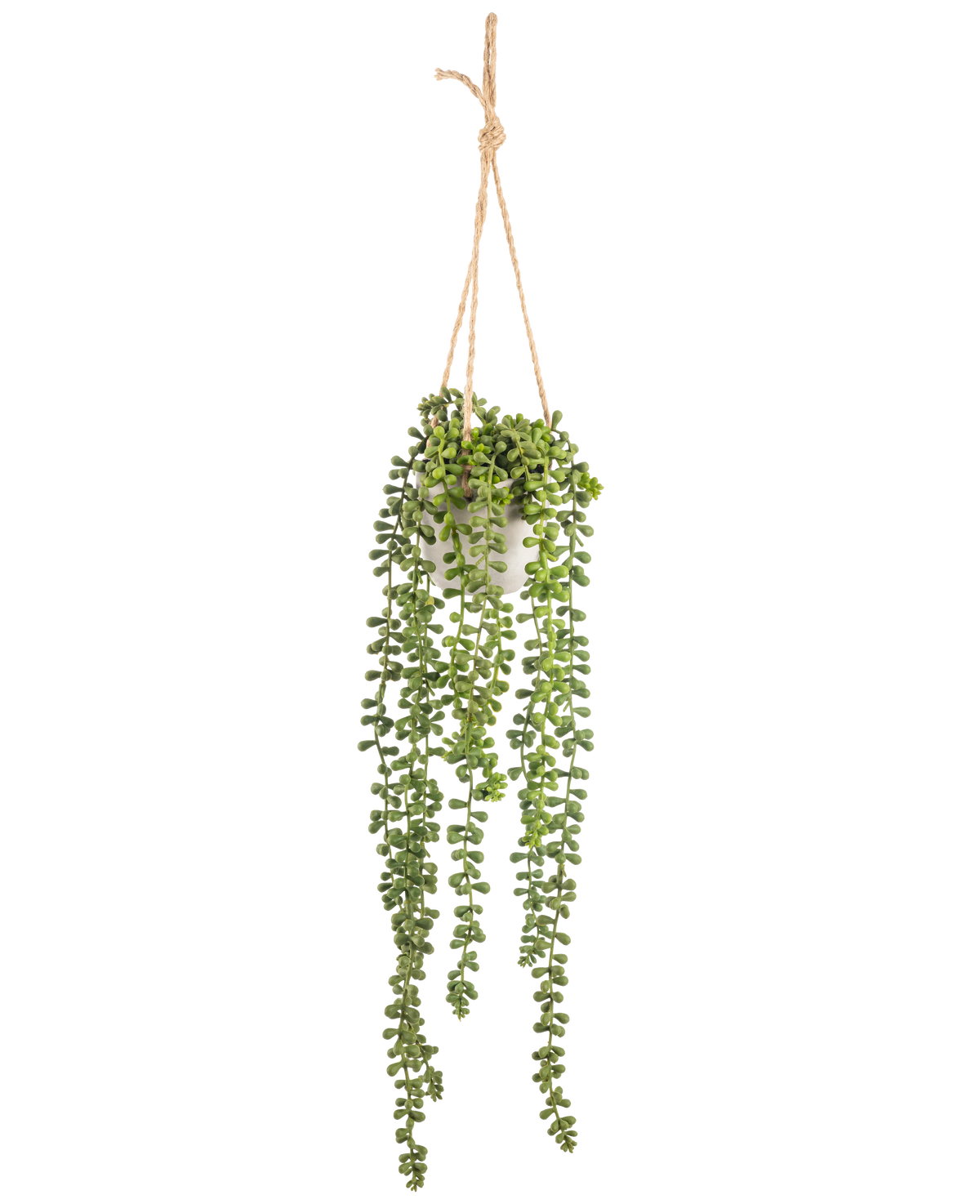 De Kunst hangplant Senecio in pot 55 cm heeft lange groene hangende stengels met ronde bladeren, hangend in een witte pot aan een tan touw, perfect om groen toe te voegen aan elke ruimte.