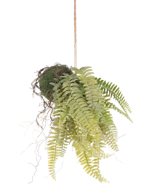 De Kunst hangplant Frosted Varen op bal 76 cm heeft levensechte groene varenbladeren en blootliggende wortels in kokedama stijl, hangend aan een bruin koord - perfect om blijvend groen toe te voegen aan elke kamer.