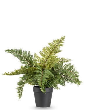 De Kunstplant Varen 33 cm is een weelderig groene kunstvaren met gevederde bladeren in een eenvoudige zwarte pot, afgebeeld tegen een effen witte achtergrond.