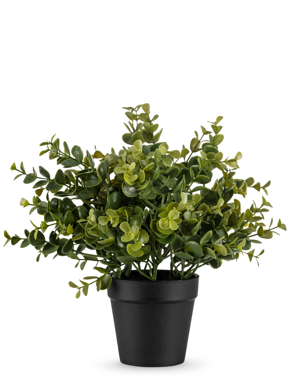 De Kunstplant Pumila 25 cm is een kleine kunstplant in pot met weelderige groene bladeren in een eenvoudige zwarte pot, afgebeeld tegen een effen witte achtergrond.