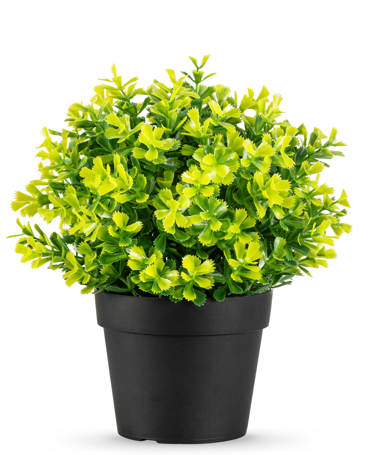 De Kunstplant Rozemarijn UV 22 cm heeft heldergroene en gele bladeren in een effen zwarte plastic pot, tegen een witte achtergrond.