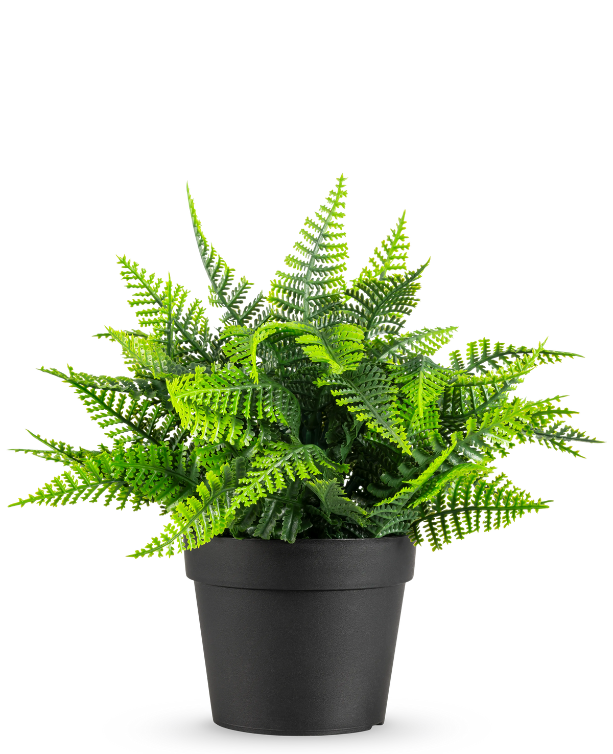 De Kunstplant Varen in pot UV 23 cm heeft een levensechte groene varen met gevederde bladeren in een eenvoudige zwarte pot, tegen een witte achtergrond.