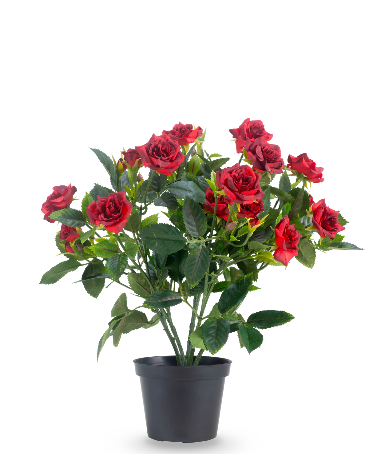 Een Kunstplant Patio-roos 35 cm in rood/zwart heeft levendige rode kunstrozen met weelderige groene bladeren in een zwarte pot, tegen een effen witte achtergrond.