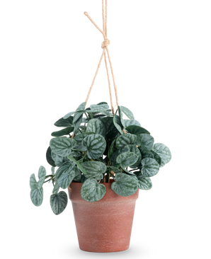 De Kunstplant Rugose blad 29 cm groen in hangpot heeft ronde, donkergroene bladeren in een bruine hangpot, tegen een effen witte achtergrond.