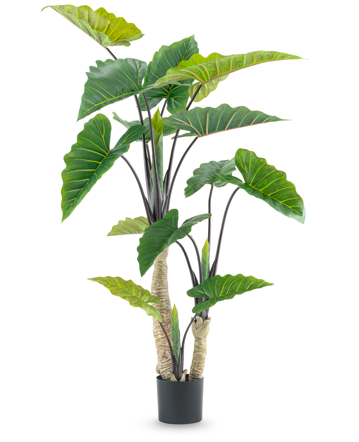 De Kunstplant Calocasia 180 cm is een kunstplant in pot met grote groene pijlvormige bladeren en meerdere stengels, afgebeeld tegen een effen witte achtergrond.