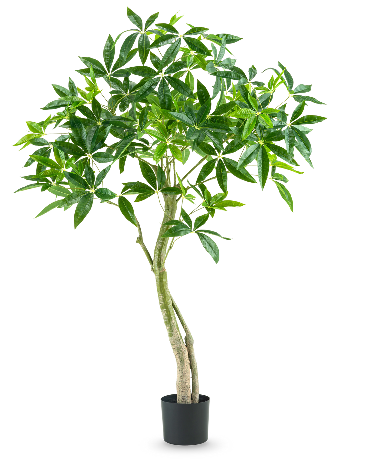 De Kunstplant Pachira 150 cm is een hoge kamerplant in pot met meerdere slanke stammen en trossen brede, glanzend groene bladeren tegen een effen witte achtergrond.