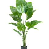 Kunstplant Strelitzia 150 cm: een levensechte kunstplant met grote groene bladeren in een donkergrijze pot.