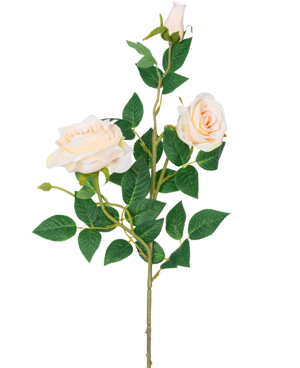 De Kunstroos Neo deluxe 75 cm beige heeft een enkele steel met twee lichtbeige bloeiende rozen, een rozenknop en verschillende groene bladeren, tegen een effen witte achtergrond.