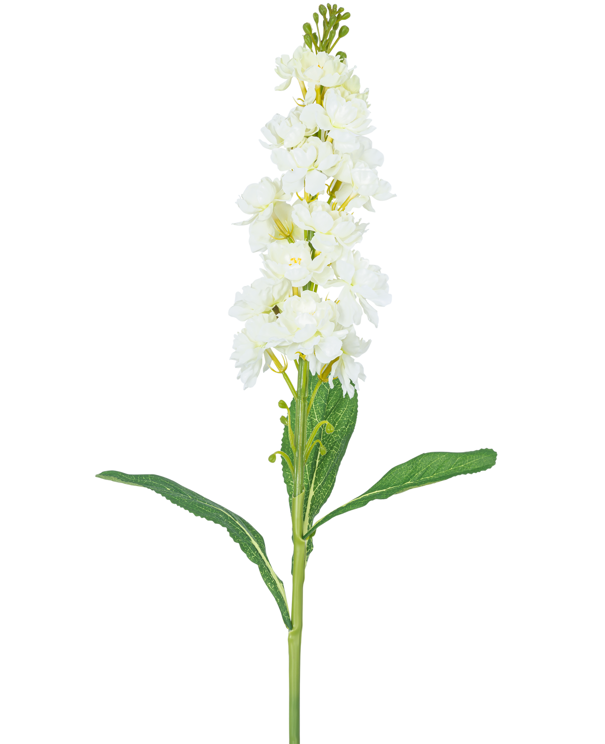 De Kunstbloem Violier 78 cm wit heeft een lange steel met witte bloemen in trossen aan de bovenkant en lange groene bladeren, tegen een effen witte achtergrond.
