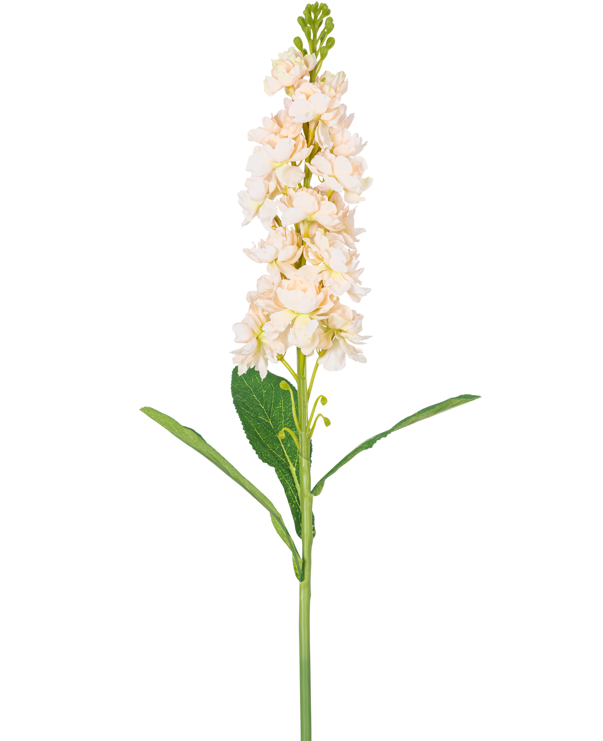 Een enkele Kunstbloem Violier 78 cm crème heeft meerdere licht crème bloesems en groene bladeren tegen een effen witte achtergrond.