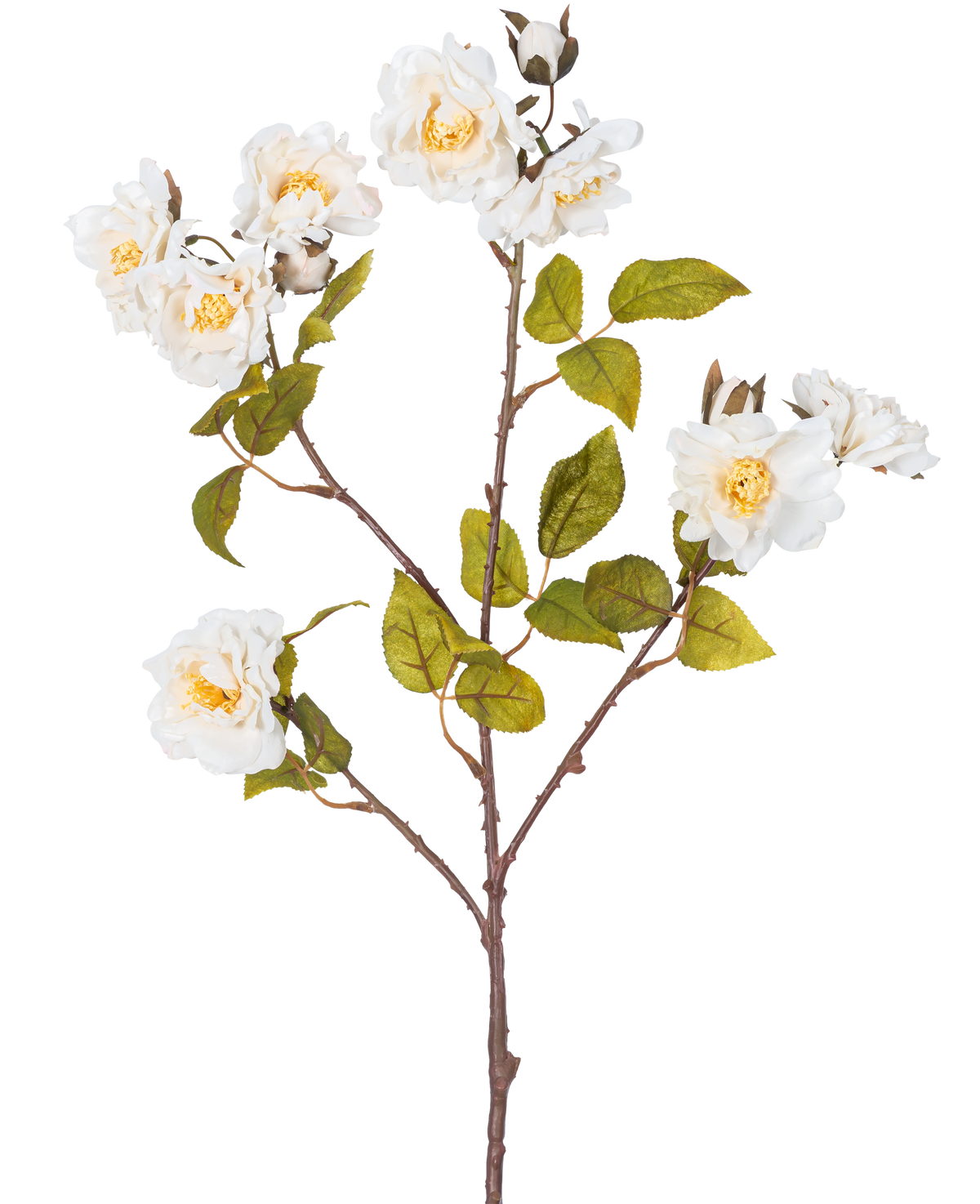 De Kunsttak roos 72 cm wit heeft een enkele bruine stengel met meerdere takken, groene bladeren en verschillende grote witte bloemen met gele harten, geïsoleerd op een witte achtergrond.