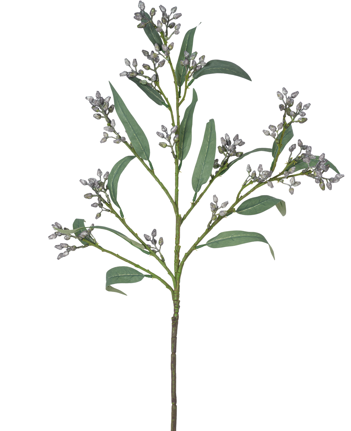 De Kunsttak Eucalyptus bes 78 cm grijs heeft een enkele groene tak met lange, smalle bladeren en trosjes kleine, grijsachtige knoppen, afgebeeld tegen een witte achtergrond.