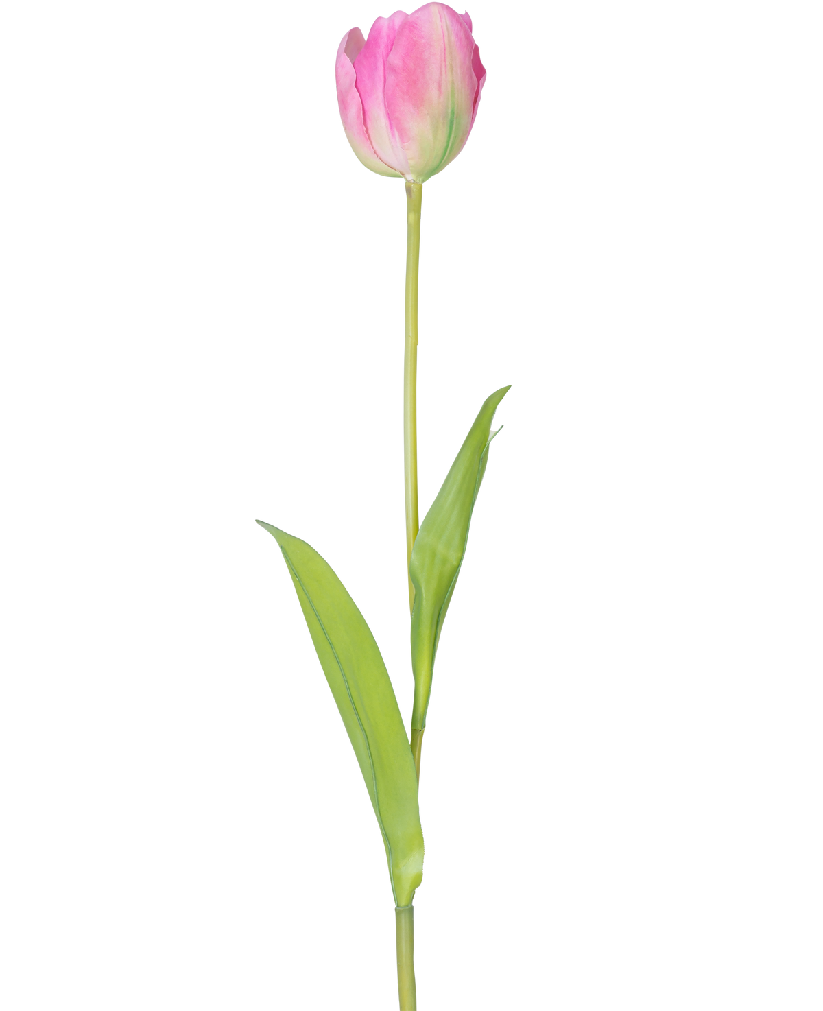 Een enkele Kunstbloem Franse Tulp 63 cm roze met een lange groene steel en twee groene bladeren, geïsoleerd op een witte achtergrond.
