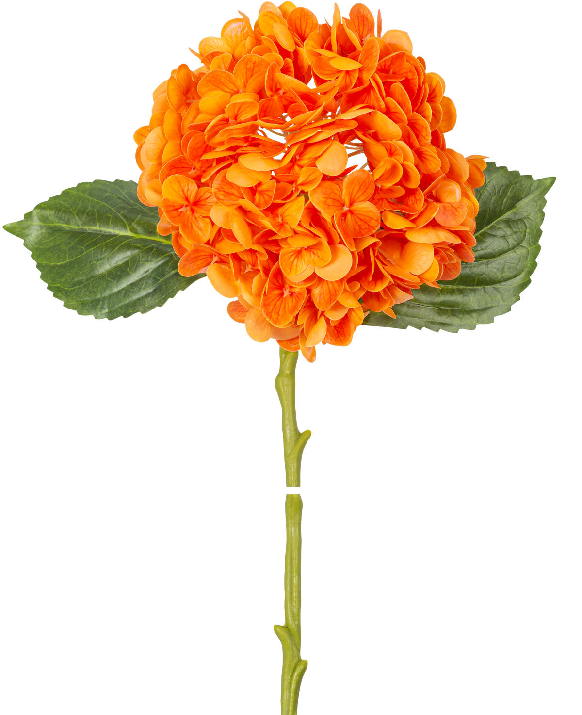 De Kunstbloem Charlotte hortensia Real Touch oranje 49 cm heeft een oranje hortensiabloem met realistische bloemblaadjes, groene bladeren en een lange steel, geïsoleerd op een witte achtergrond.