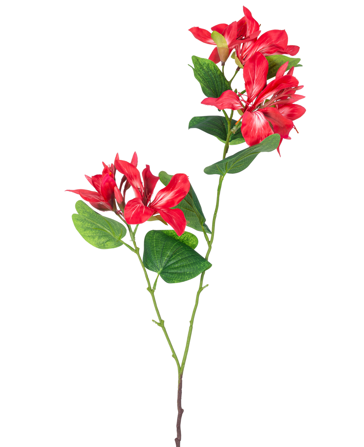 De Kunstbloem Rhododendron 85 cm licht rood is een kunststam met groene bladeren en twee trossen lichtrode en witte bloemen op een witte achtergrond.