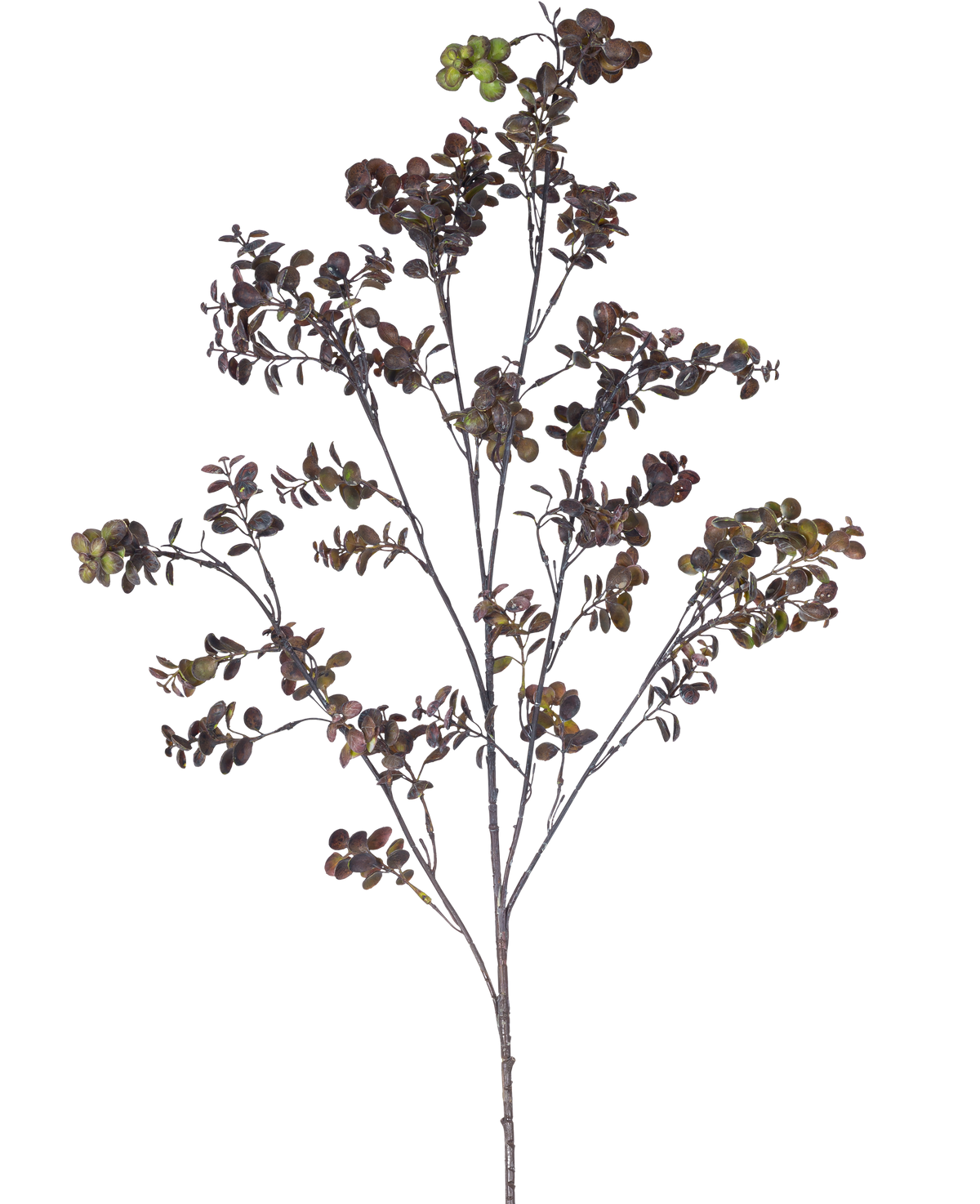 De Kunsttak Eucalyptus bes 110 cm bruin heeft een hoge tak met meerdere dunne stengels, kleine ronde bladeren en trosjes groenbruine bessen tegen een effen witte achtergrond.