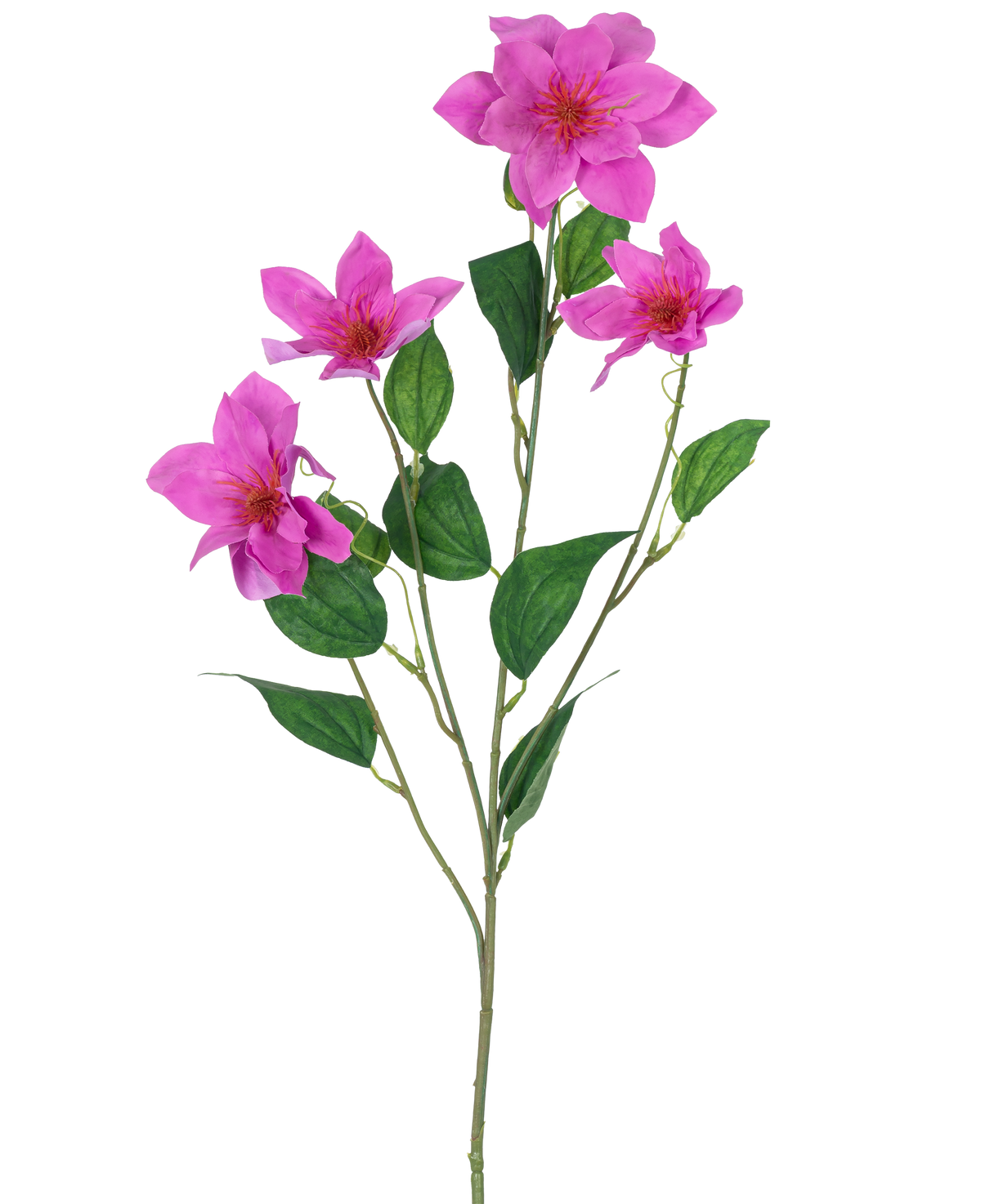 De Kunstclematis Real Touch Roze 88cm heeft een enkele groene stengel met meerdere takken, vijf levendige roze bloemen en verschillende ovale groene bladeren, allemaal prachtig gedetailleerd en geïsoleerd op een witte achtergrond.