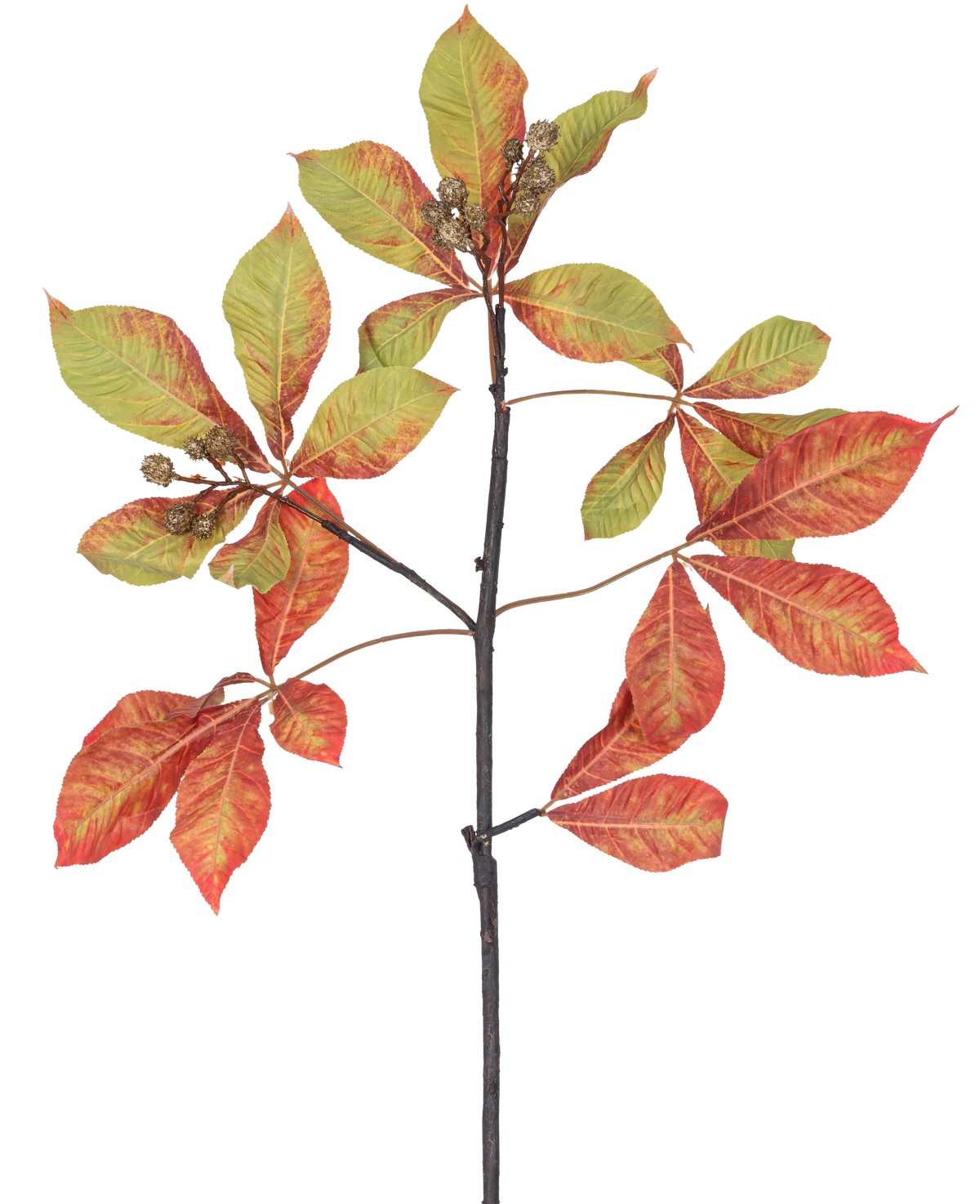 Een Kunsttak Kastanje 91 cm rood/groen tak met trossen rode en groene bladeren, sommige met bruine randen, samen met kleine bruine zaaddozen tegen een witte achtergrond.