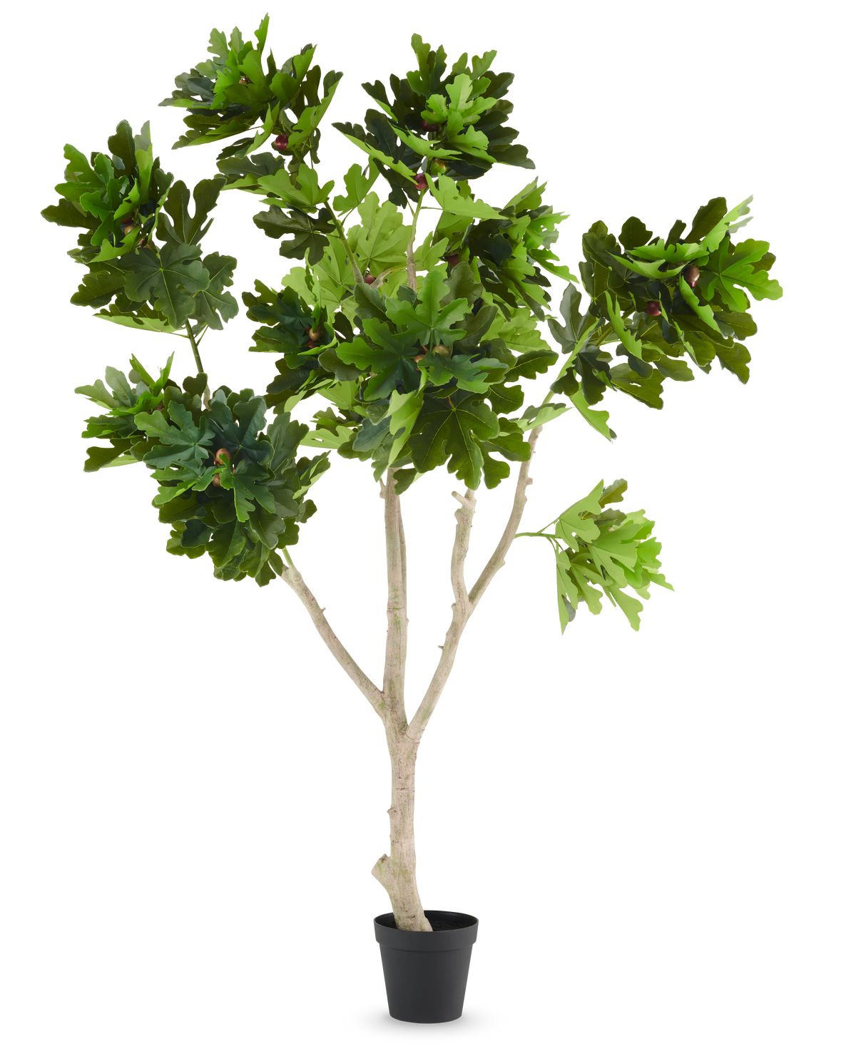 De Kunstplant Ficus Carica vijgenboom 250 cm is een kunstvijgenboom in een pot met meerdere lichtbruine takken en trossen grote, groene, gelobde bladeren, gepresenteerd tegen een effen witte achtergrond.