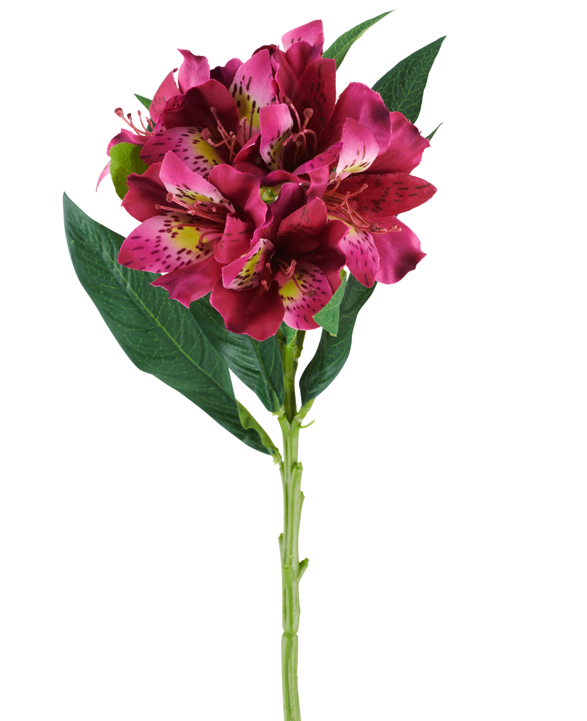 Een enkele stengel van de Kunstbloem Alstroemeria van 74 cm in rode en paarse tinten, met levensechte bloemen en groene bladeren, geïsoleerd tegen een witte achtergrond.