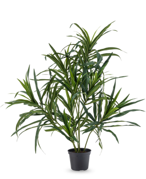 De Kunstplant Dracaena Reflexa in pot UV 63 cm heeft lange, slanke groene bladeren op dunne stelen, ideaal om een vleugje tropische flair in je interieur te brengen tegen een effen witte achtergrond.