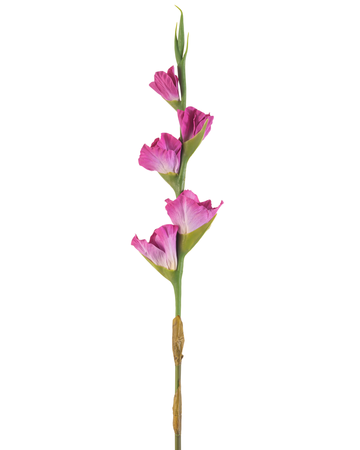 Een enkele stengel Kunstbloem Gladiolen 83 cm fuchsia heeft vier levendige roze bloemen op een groene steel, tegen een effen witte achtergrond.