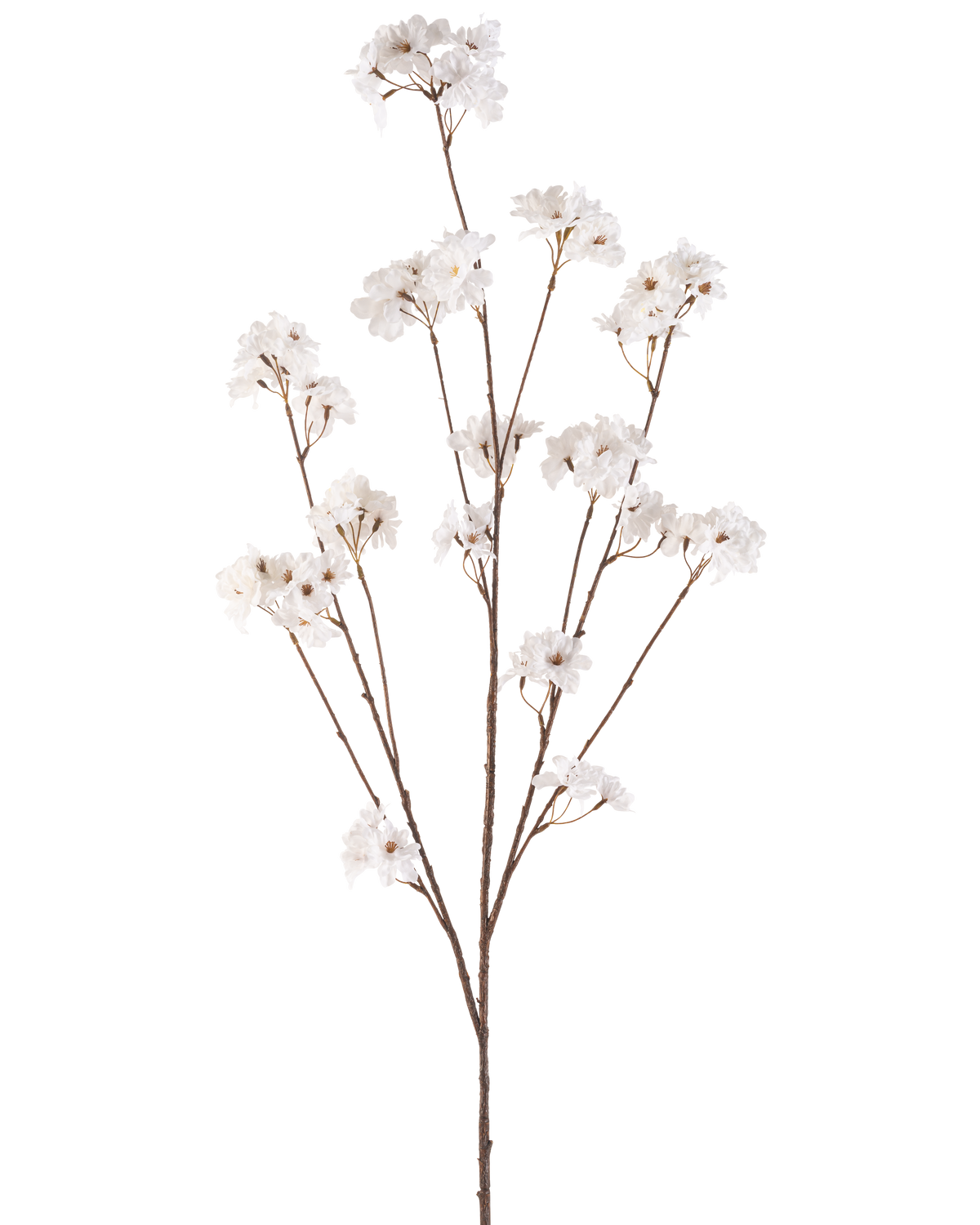 De Kunstbloem Kersenbloesem 130 cm crème heeft een enkele bruine steel die zich vertakt in meerdere dunne stelen, elk versierd met trosjes kleine, delicate crème kersenbloesem bloemen tegen een effen witte achtergrond.