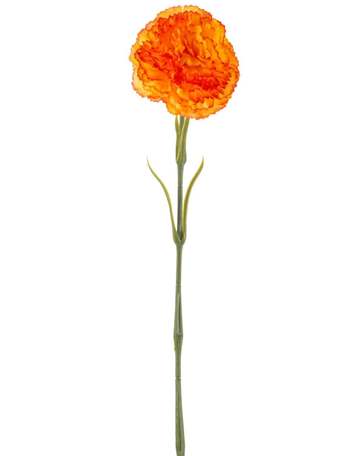 De Kunstbloem Anjer 57 cm oranje is een kunstmatige oranje anjer met ruches in de bloemblaadjes en een lange groene steel, geïsoleerd afgebeeld op een witte achtergrond.