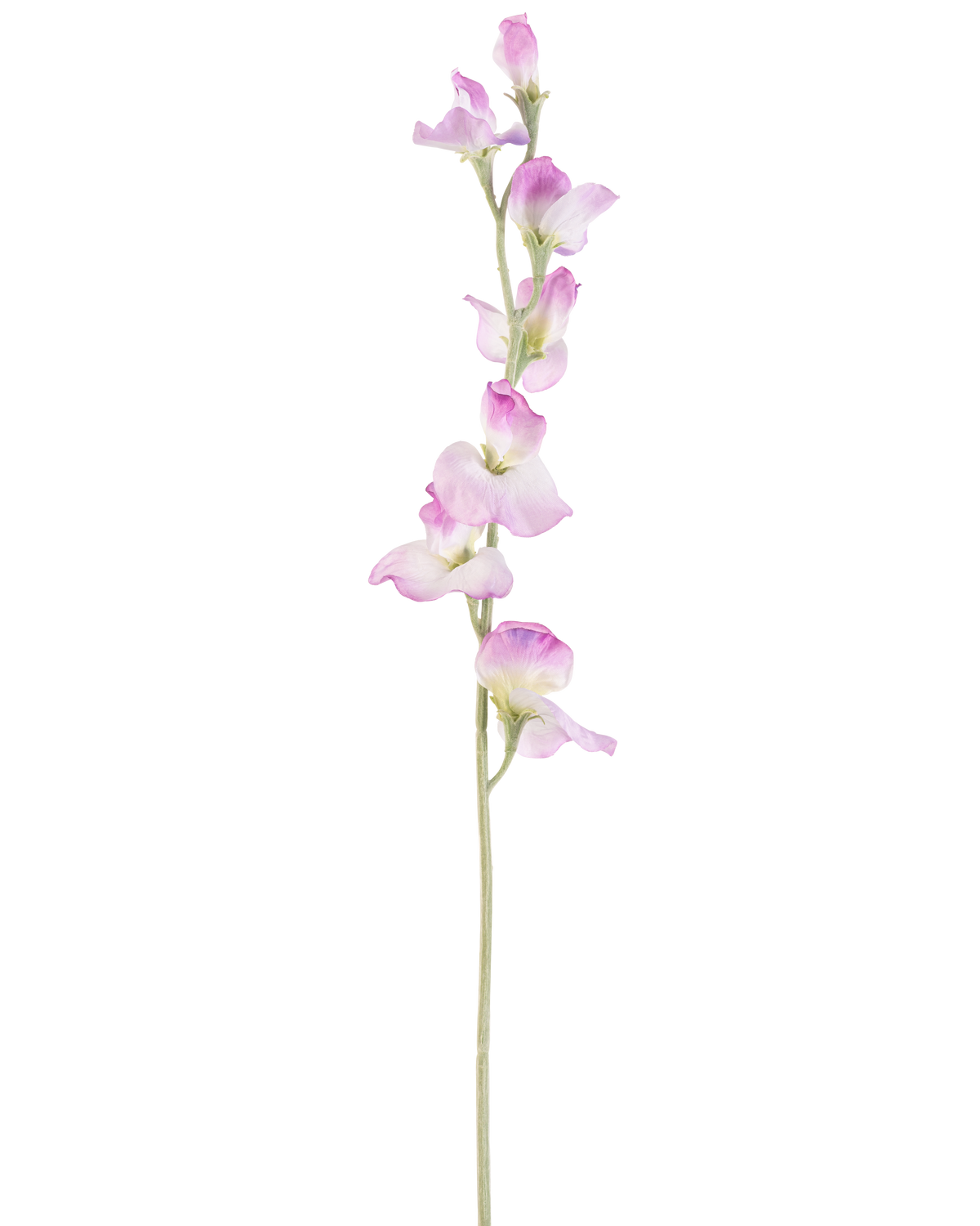 Een enkele lange Kunstbloem Erwt 64 cm paars steel met delicate paarse bloemen verticaal gerangschikt, tegen een effen witte achtergrond.