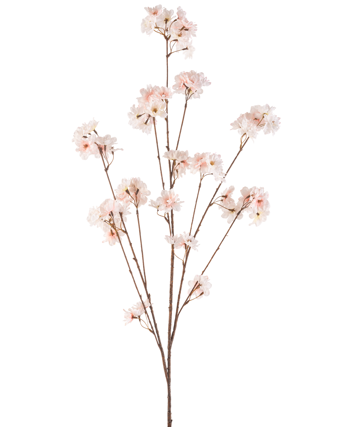 De Kunstbloem Kersenbloesem 130 cm blush heeft meerdere dunne stelen met trossen tere, lichtroze kersenbloesems tegen een effen witte achtergrond.