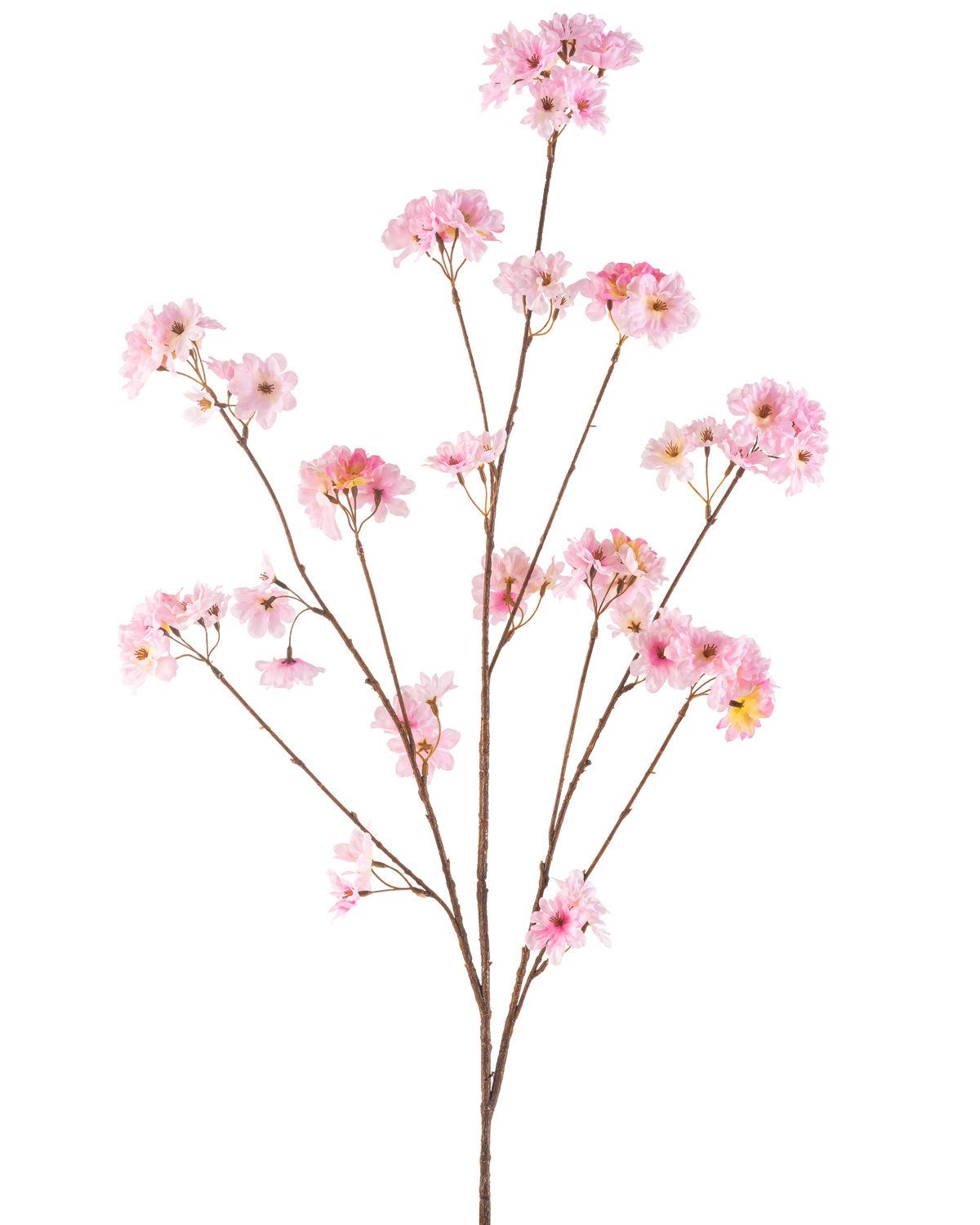 De Kunstbloem Kersenbloesem 130 cm roze heeft een enkele bruine steel die zich vertakt in trossen van tere roze kersenbloesems, prachtig tegen een effen witte achtergrond.