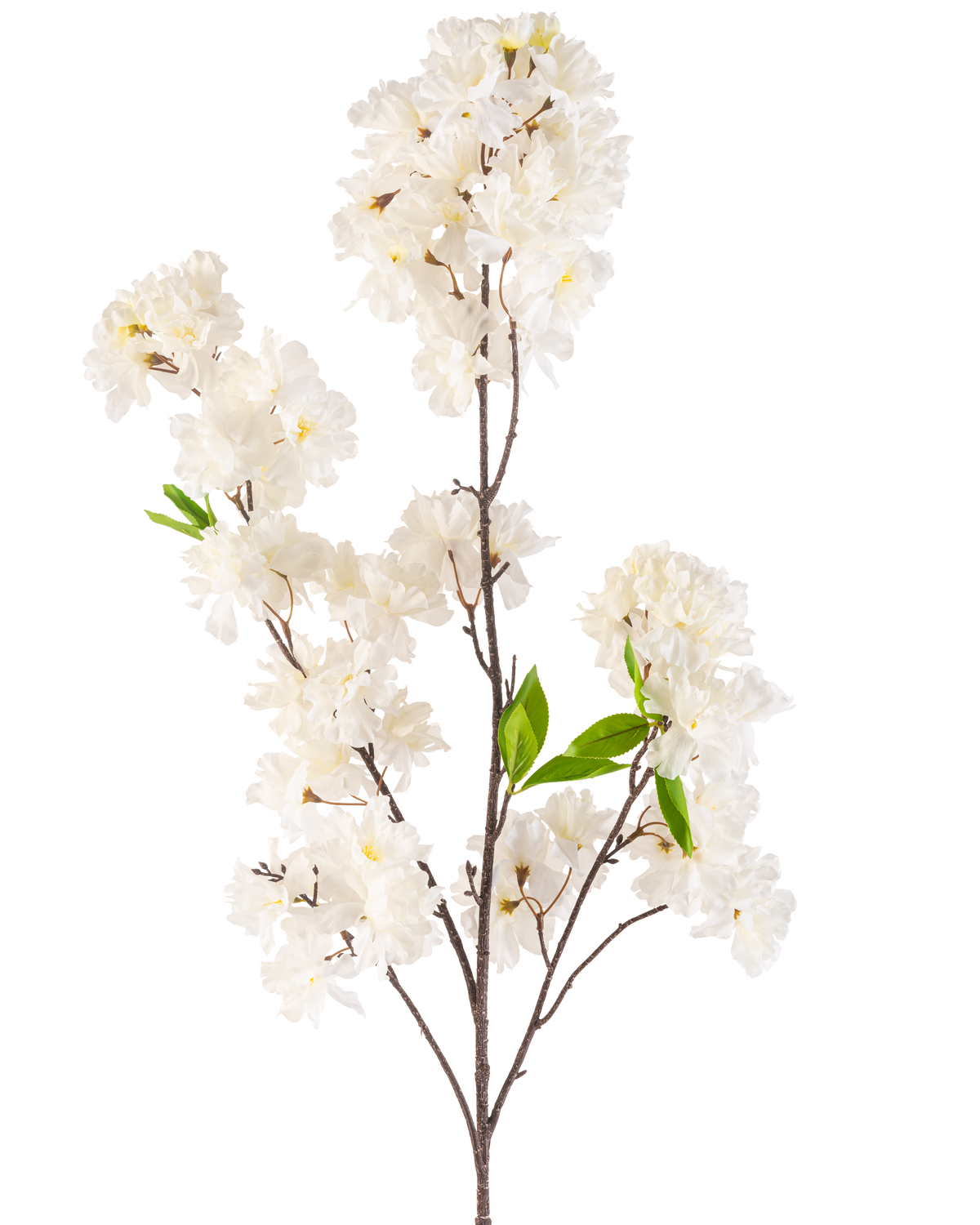Een Kunstbloem Kersenbloesem 119 cm crème met trosjes tere witte bloesems en een paar heldergroene blaadjes op slanke bruine stelen, geïsoleerd op een witte achtergrond.